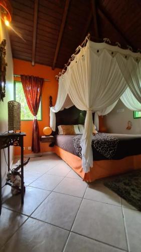 les_gites_d_arles_orchidee_chambre2