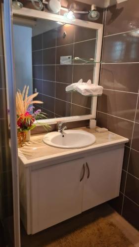 les_gites_d_arles_orchidees_sdb