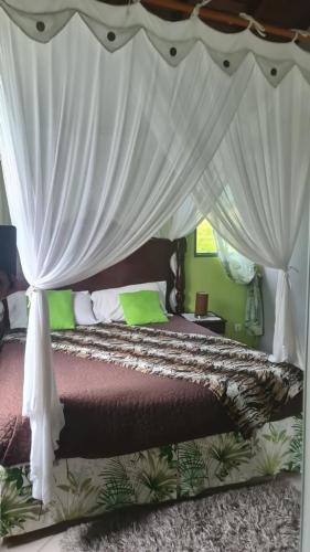 les_gites_d_arles_ti_polo_chambre