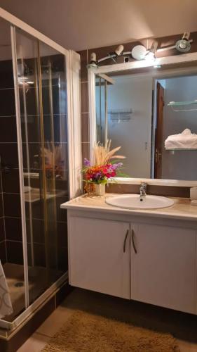 les_gites_darles_bungalow_la_rose_chambre_sdb